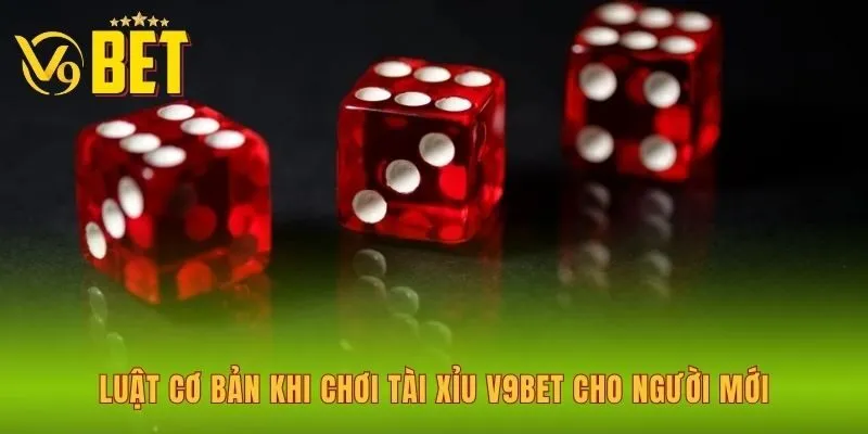 luat-co-ban-khi-choi-tai-xiu-v9bet-cho-nguoi-moi