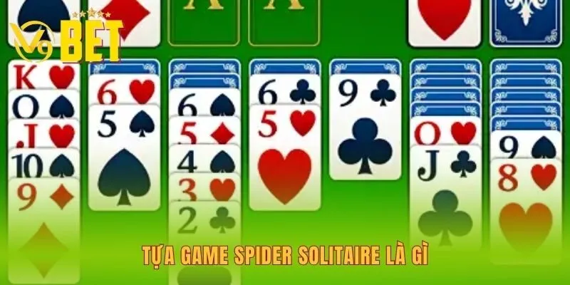 tua-game-spider-solitaire-la-gi